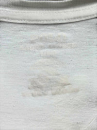 Ralph Lauren T-shirt (L)